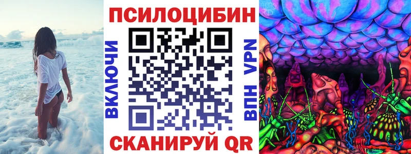Псилоцибиновые грибы мицелий  гидра ТОР  Кадников 